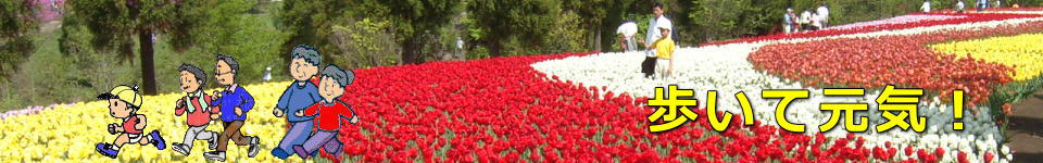 花公園