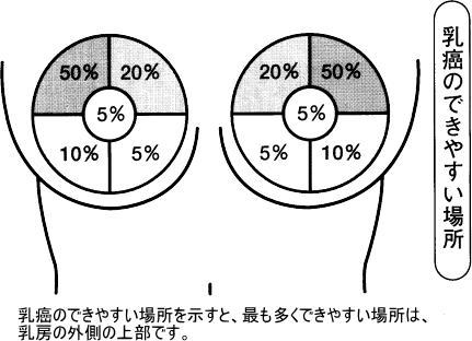 乳癌の自己検診、割合