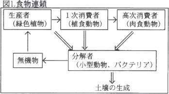 食物連鎖