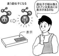 遺伝子組み換え食品