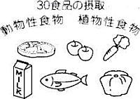 バランスのよい食事