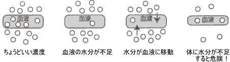血液をサラサラにしてくれる水