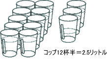 一日に必要な水分の量