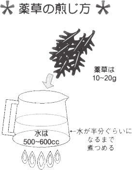 薬草の煎じ方