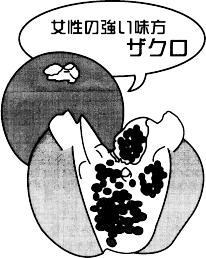 女性の強い味方ザクロ