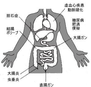食物繊維の働き