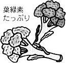 葉緑素
