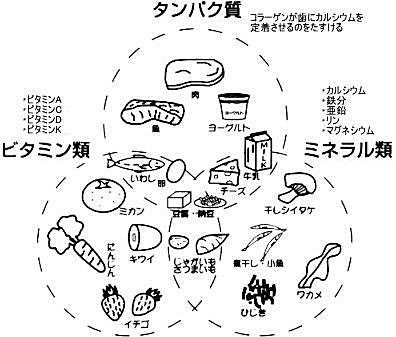 健康な歯を作る